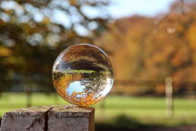 Close-up of crystal ball on wooden table