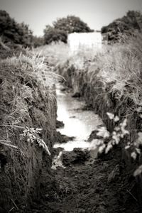 Scenic view of waterfall on field against sky
