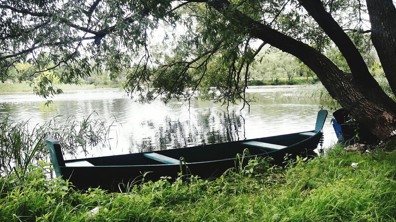 tree, water, nautical vessel, growth, nature, lake, transportation, grass, beauty in nature, mode of transport, day, tranquility, no people, moored, outdoors, scenics, branch