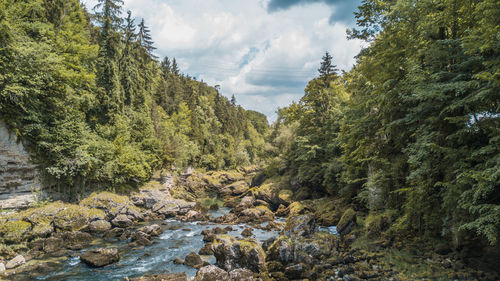 Scenic view of waterfall in forest against sky