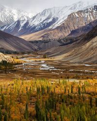 Scenic view of lake and mountains