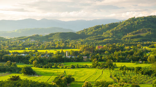 Scenic view of agricultural field against mountains