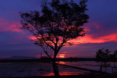 Silhouette tree by lake against romantic sky at sunset