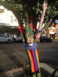 Multi colored tree by street in city