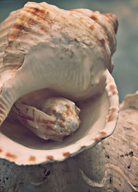 Close-up of hand holding ice cream