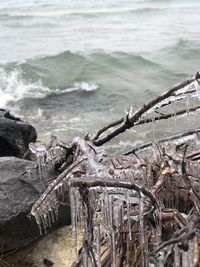 High angle view of driftwood on beach