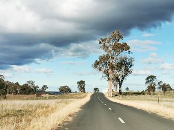 Road amidst trees on field against sky