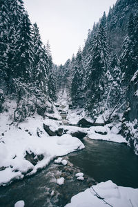 Scenic view of mountains against clear sky during winter
