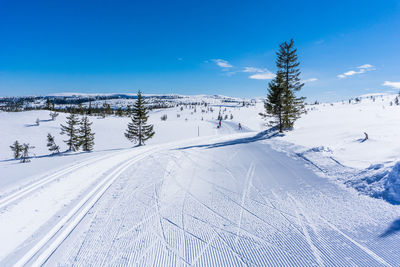 High angle view of people skiing on snow covered land during winter