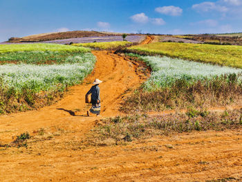 Rear view of man on field against sky