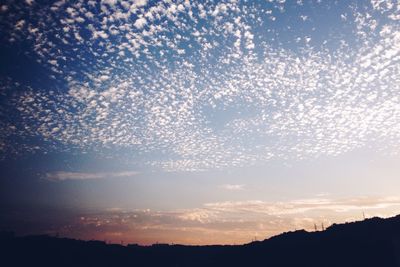 Silhouette of trees at sunset