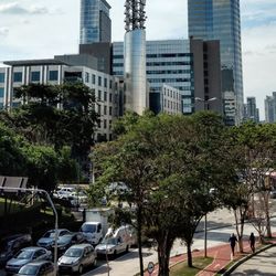 Trees in city against sky