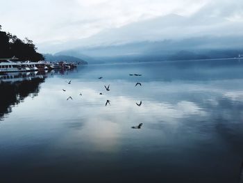 Birds in lake against sky