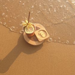 High angle view of shell on sand