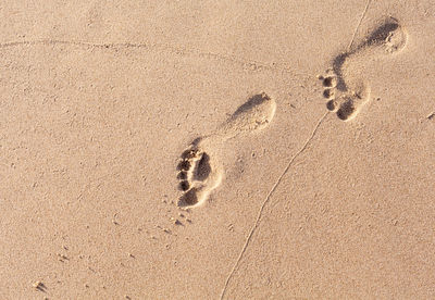 High angle view of footprints on sand