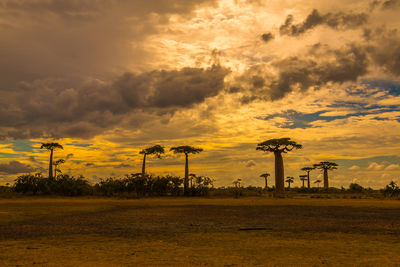 Scenic view of silhouette field against orange sky