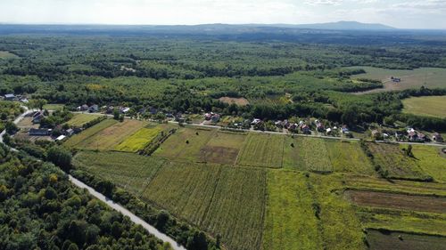 High angle view of agricultural field