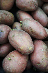 Full frame shot of fruits for sale at market stall