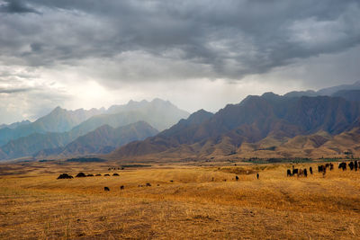 Scenic view of landscape and mountains against sky