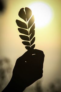 Close-up of hand holding silhouette leaf against sky during sunset