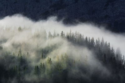 High angle view of trees amidst clouds