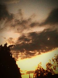 Low angle view of trees against cloudy sky