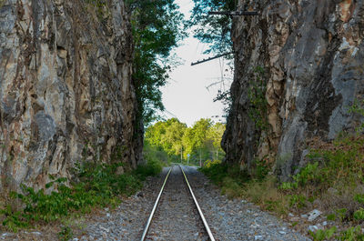 Railroad track amidst trees against sky