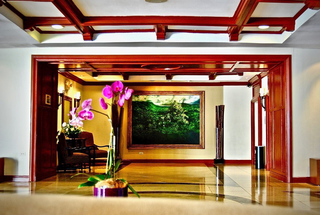 POTTED PLANTS ON TABLE BY WINDOW