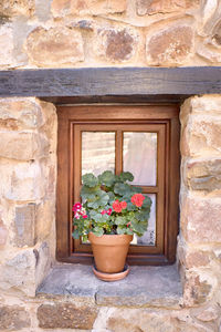 Potted plant against stone wall