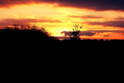 Silhouette trees against sky during sunset