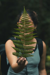 Close-up of fern outdoors