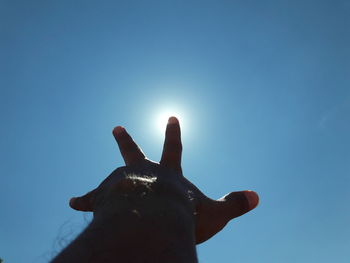 Low angle view of hand against clear sky
