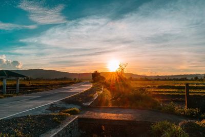 Road by trees against sky during sunset