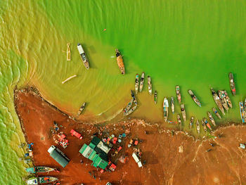 High angle view of crab in lake