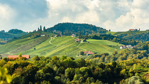 Panoramic view of agricultural field against sky