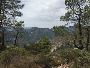 Scenic view of landscape against cloudy sky