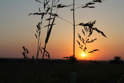 Silhouette landscape against sunset sky