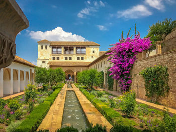 View of plants against building