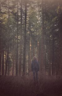 Rear view of a man walking in forest