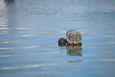 Close-up of metallic structure in sea