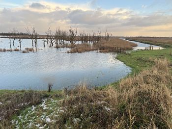 Beautiful landscape norfolk broad hickling east anglia uk nature reserve  flooded bare trees autumn