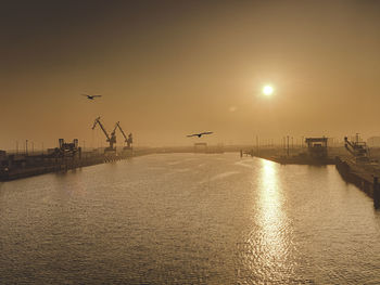 Port of calais, france, in the morning. you can see two seagulls against sunrise