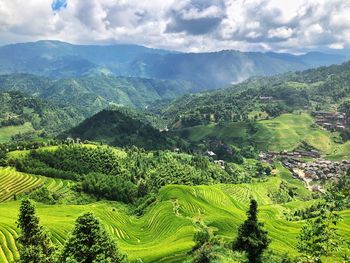 Scenic view of agricultural field against sky