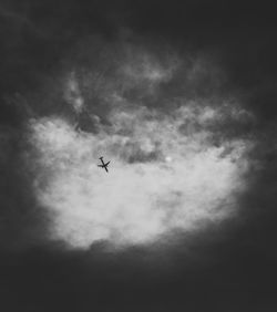 Low angle view of silhouette bird flying in sky