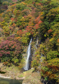 Waterfall in forest during autumn