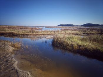 Scenic view of lake against clear blue sky