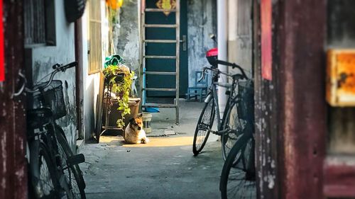 Bicycle outside house