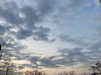 Low angle view of trees against dramatic sky