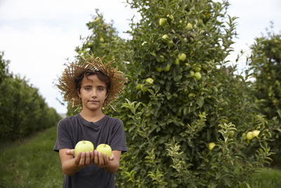 A kid holding two apples in an apple field