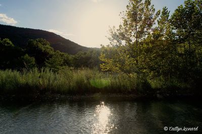 Scenic view of river with trees in background